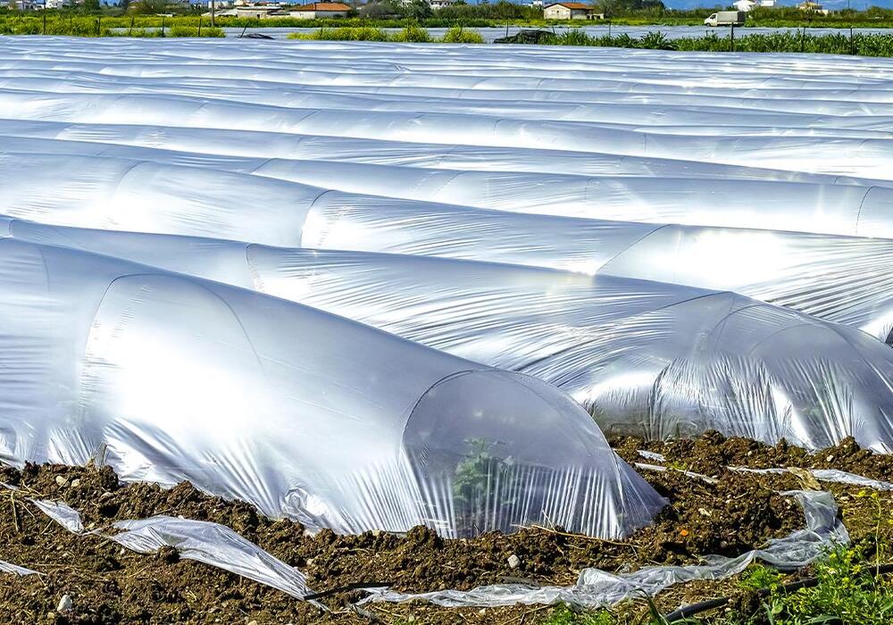 08037850e4e24a0293df47bab1a41d025_1107x738 (1)