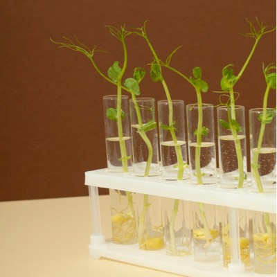 Screenshot 2023-10-21 204555