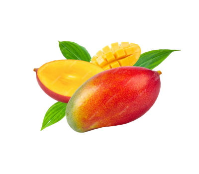 Screenshot 2023-10-22 205405 (1) (1)