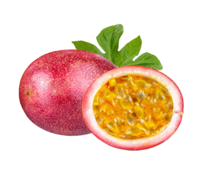 Screenshot 2023-10-22 205716 (1) (1)