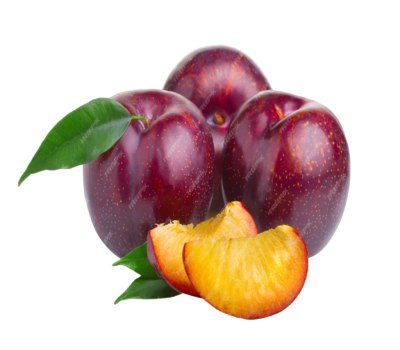 Screenshot 2023-10-22 211543 (1) (1)