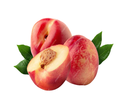 Screenshot 2023-10-22 212521 (1) (1)