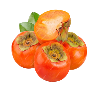 Screenshot 2023-10-22 213417 (1) (1)