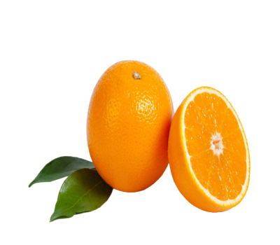 Screenshot 2023-10-22 224427 (1) (1)