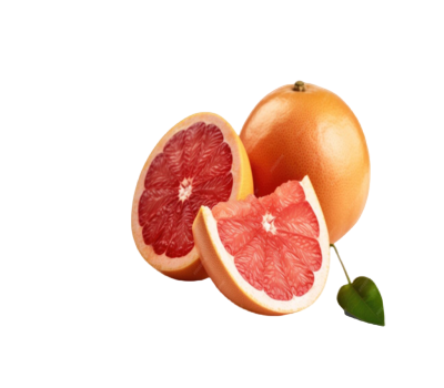 Screenshot 2023-10-22 225728 (1) (1)