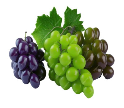 Screenshot 2023-10-22 230914 (1) (1) (1) (1)