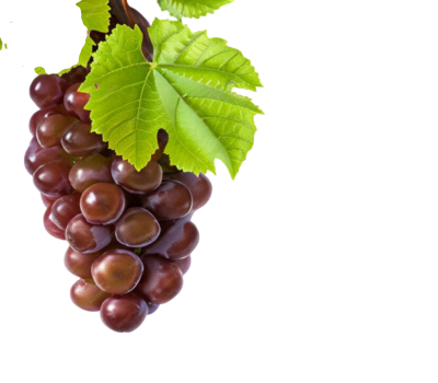 Screenshot 2023-10-22 230914 (1) (1)