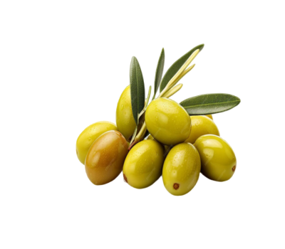 Screenshot 2023-10-22 231738 (1) (1)