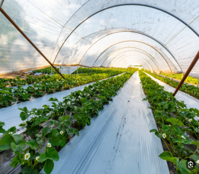 Screenshot 2023-10-24 100839 (1)