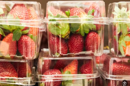 Screenshot 2023-10-29 225926 (1)