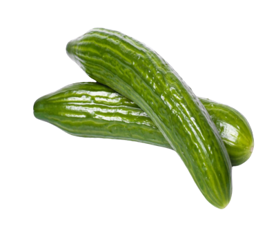 Screenshot_2023-10-22_152217__1_-removebg-preview