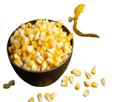 Screenshot_2023-10-22_152516__1_-removebg-preview