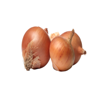 Screenshot_2023-10-22_164831__1_-removebg-preview