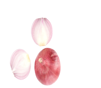 Screenshot_2023-10-22_165033__1_-removebg-preview