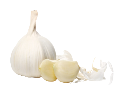 Screenshot_2023-10-22_165545__1_-removebg-preview (1)