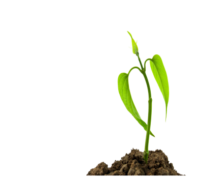 Screenshot_2023-10-22_171200__1_-removebg-preview