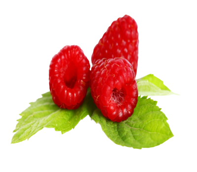 Screenshot_2023-10-22_194929__1_-removebg-preview