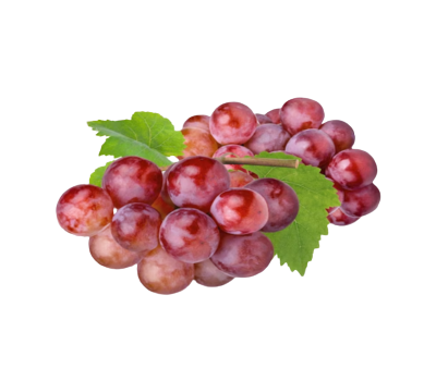 Screenshot_2023-10-22_200348__1_-removebg-preview