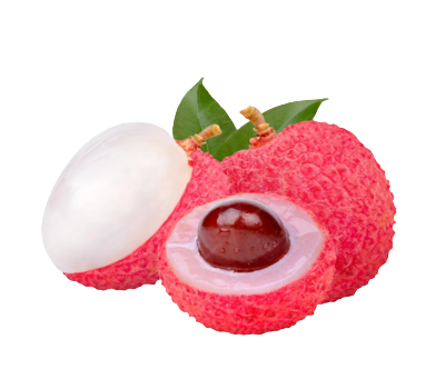 Screenshot_2023-10-23_093640__1_-removebg-preview