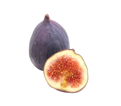 Screenshot_2023-10-23_104414__1_-removebg-preview