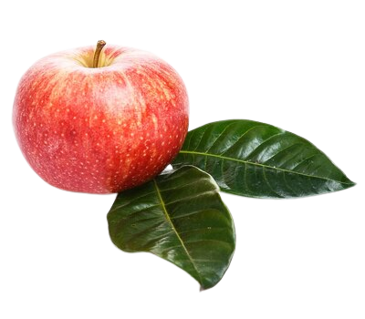 apples-table_144627-6746__1_-removebg-preview