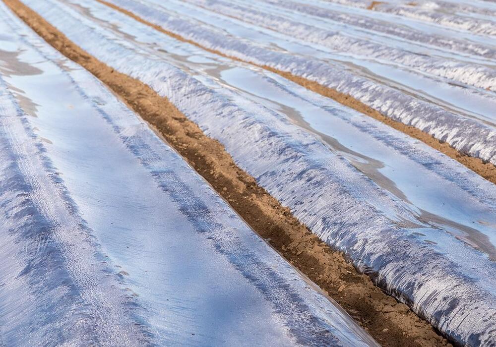 b3f9426bb52d43318eae01d71a135a845_1107x738 (1)