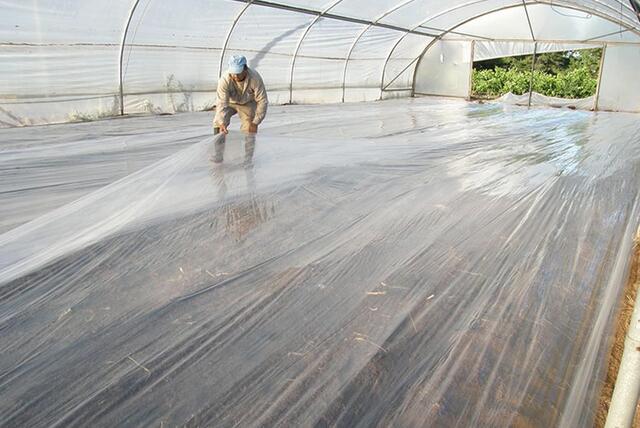 b3f9426bb52d43318eae01d71a135a84_1107x738 (1)