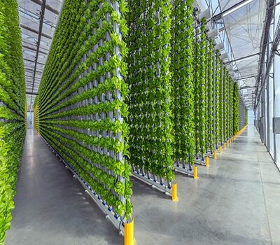 eden-green-vertical-farm-facility (1)