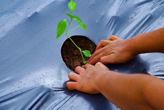 f86de81c484b428c9260c44bb262444d_1107x738 (1)