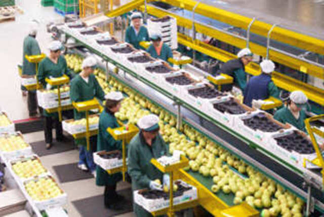 macchine-lavorazione-mele (1)