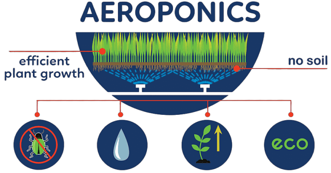 png-clipart-aeroponics-agriculture-pest-hydroponics-soil-transplant-text-logo (1)